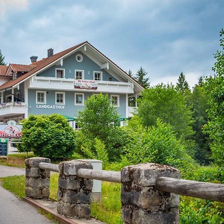 Ski-Bike-Apartment Bayerwald Lohberg Bagian luar foto