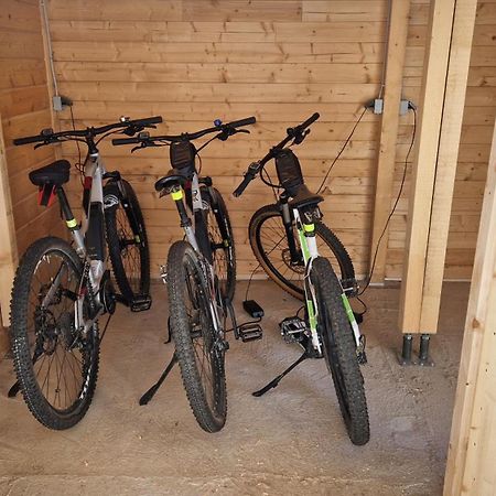 Ski-Bike-Apartment Bayerwald Lohberg Bagian luar foto