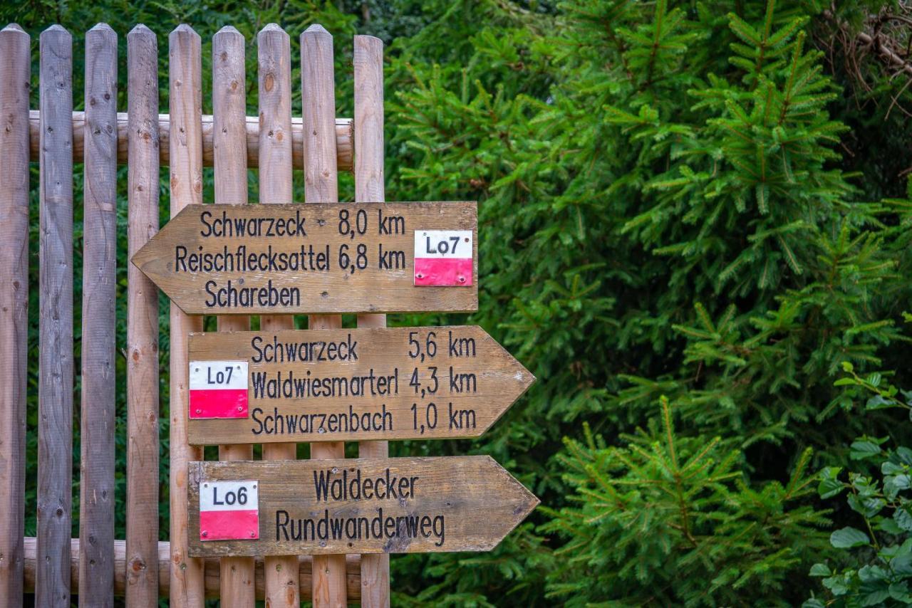Ski-Bike-Apartment Bayerwald Lohberg Bagian luar foto
