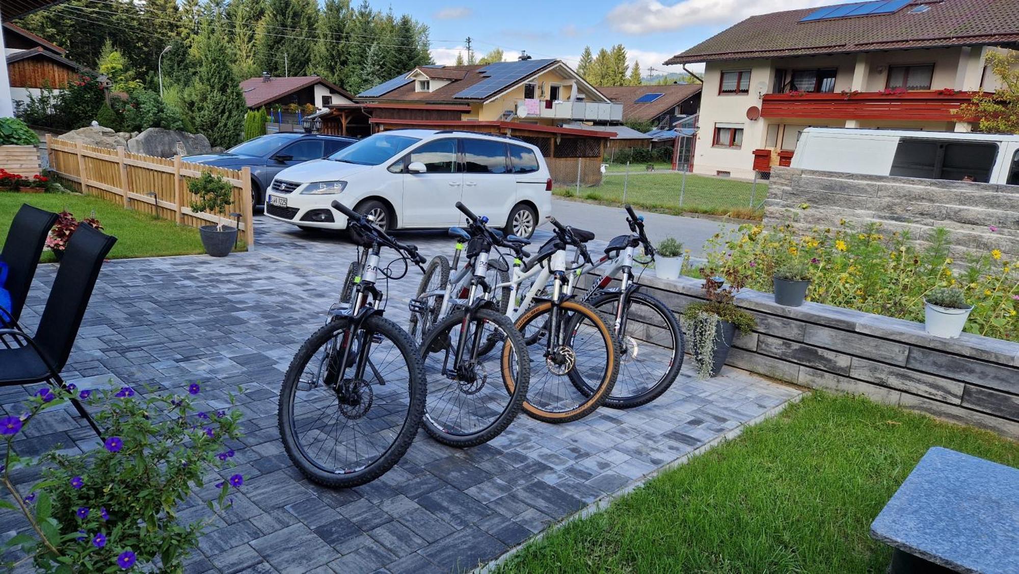 Ski-Bike-Apartment Bayerwald Lohberg Bagian luar foto